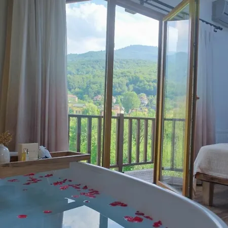 Hotel Cevizdibi 4*
