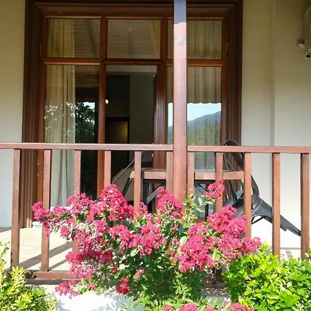 Cevizdibi Hotel 4*