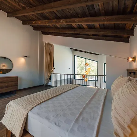 Hotel Cevizdibi 4*