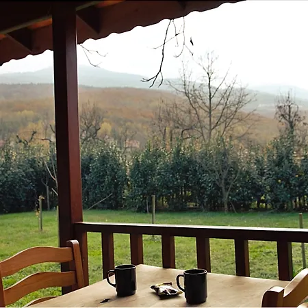 Cevizdibi 4* Masukiye