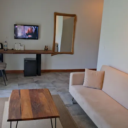 Hotel Cevizdibi