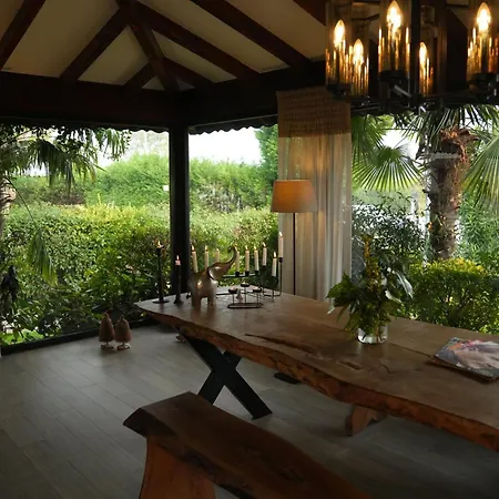 Cevizdibi 4* Masukiye